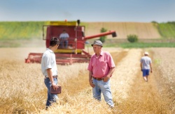 ГК «Градиент» принимает активное участие в развитии сельского хозяйства